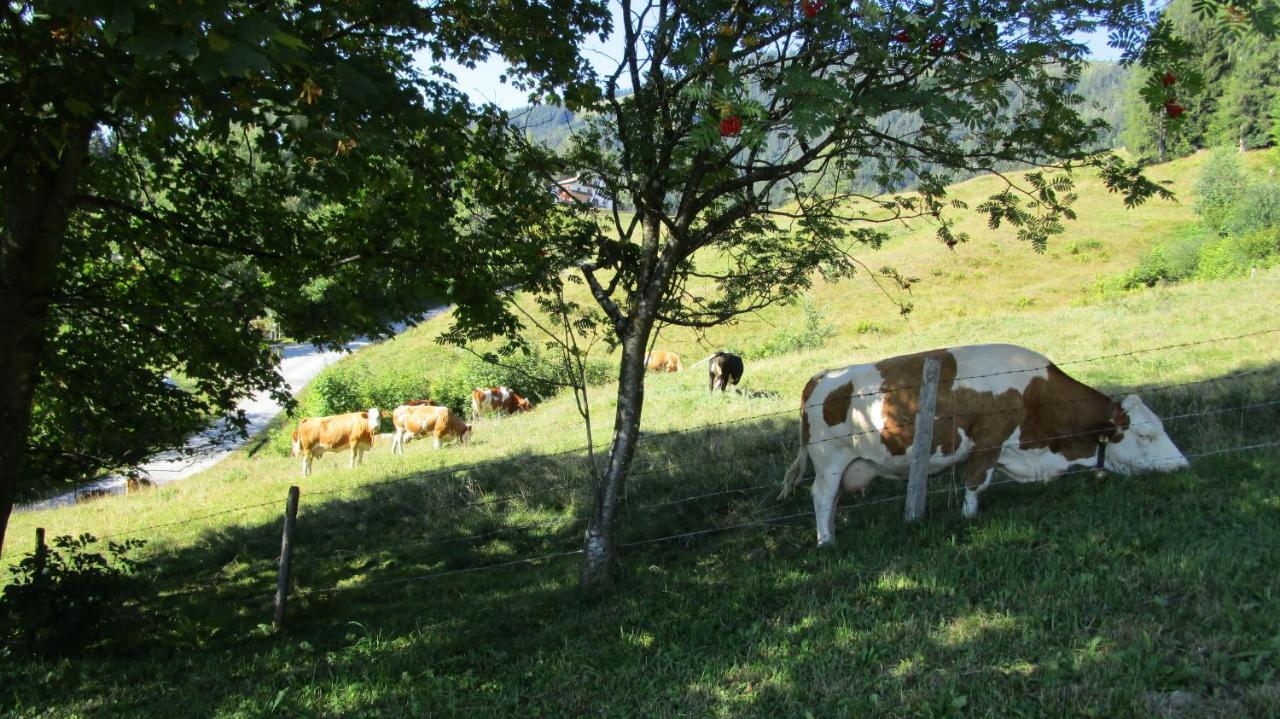 Ferienhaus Englbrecht Krispl Kültér fotó