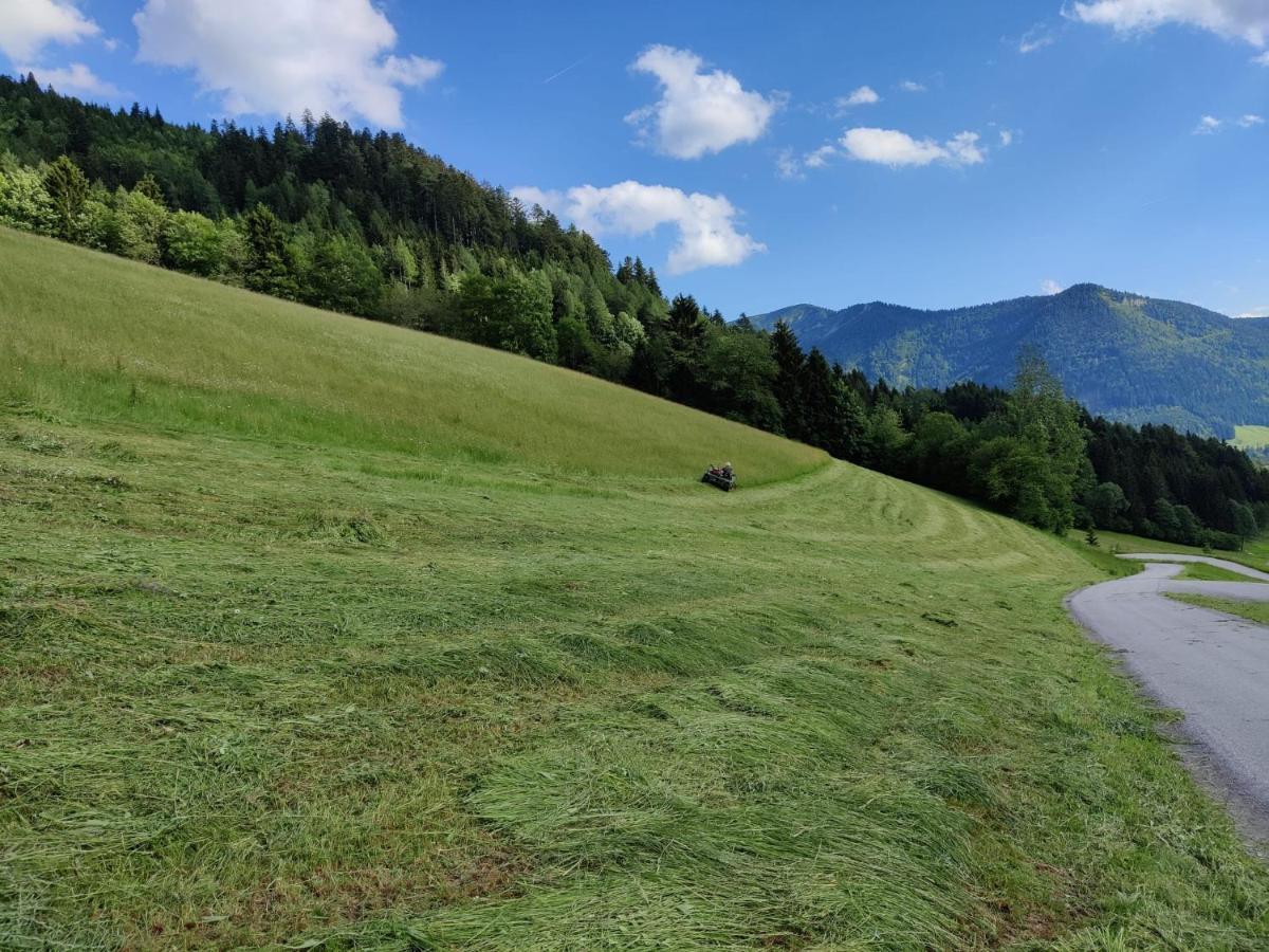 Ferienhaus Englbrecht Krispl Kültér fotó